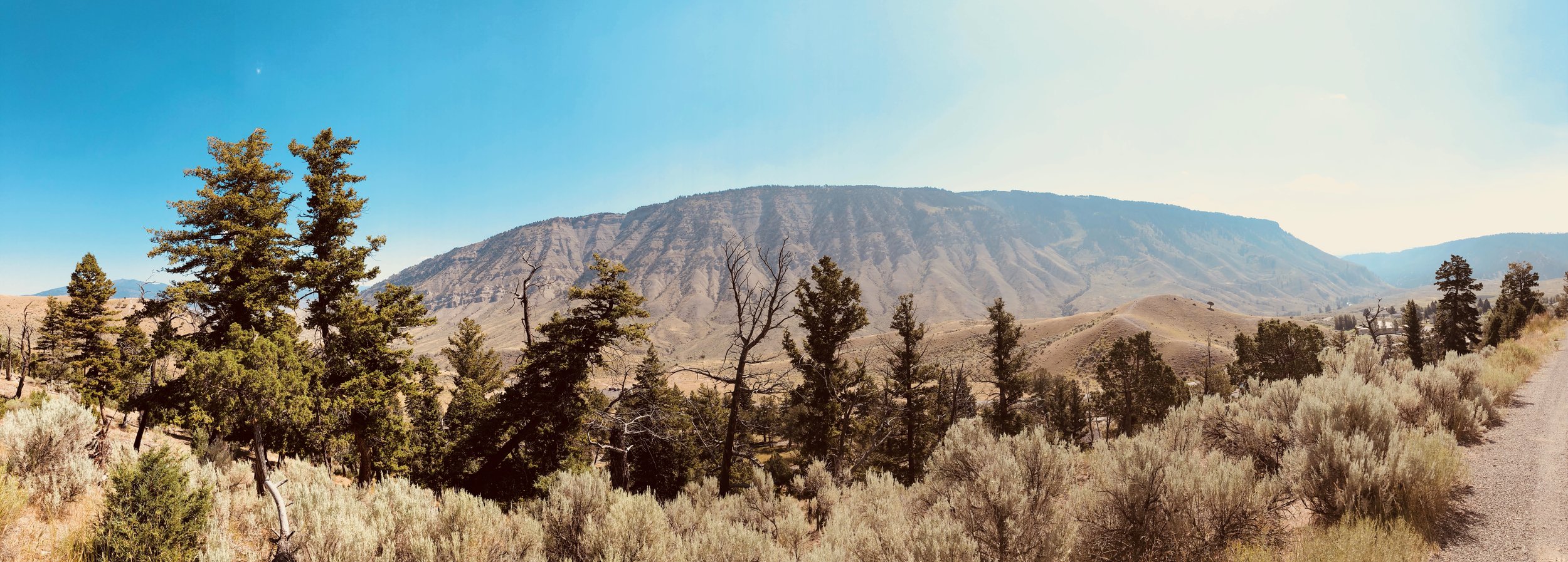 Panoramas